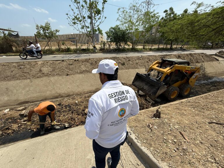 gestion de riesgo okok