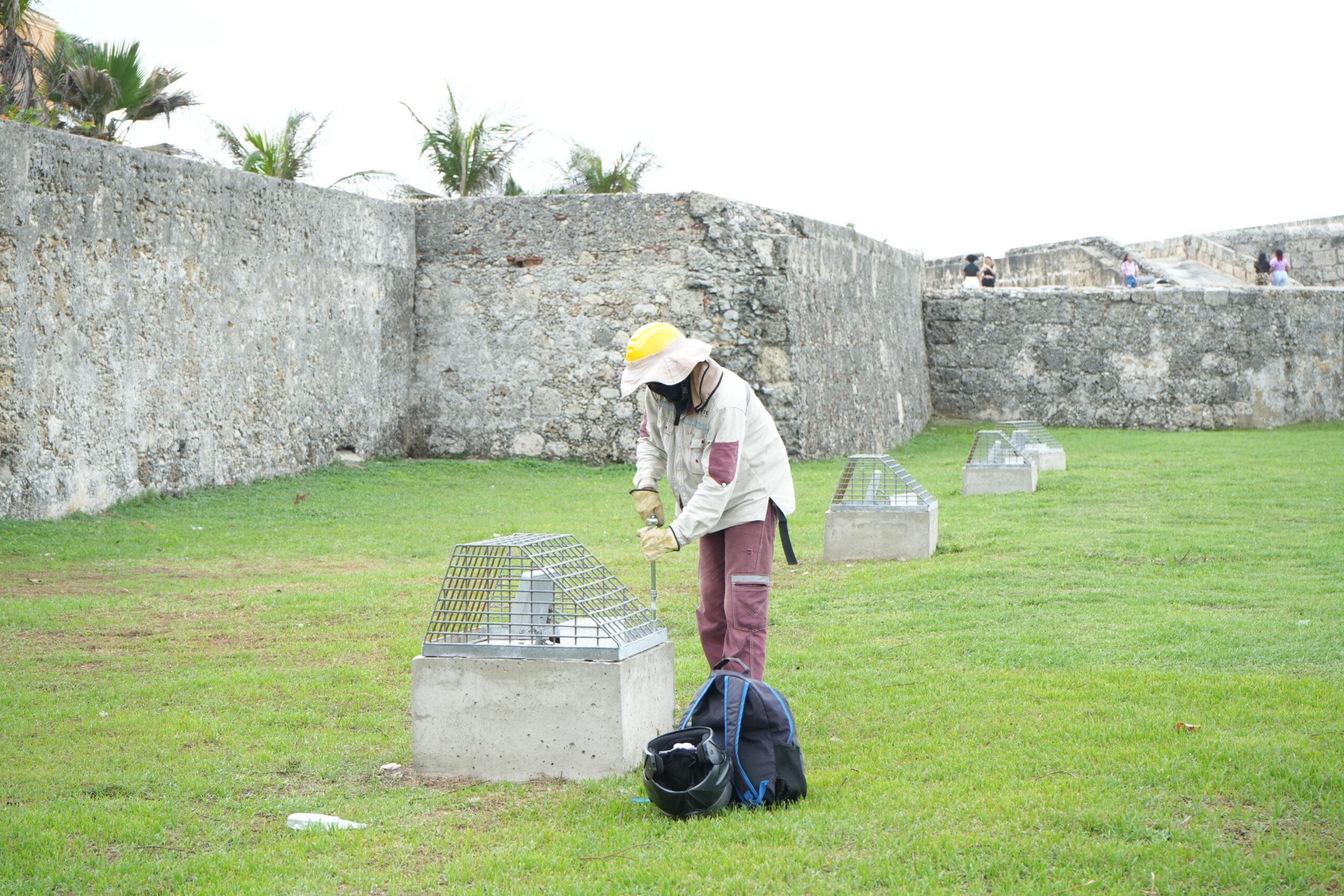 luminarias