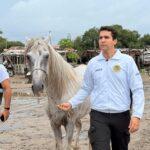 caballo umata