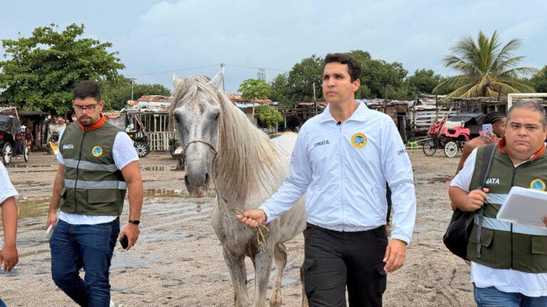 caballo umata