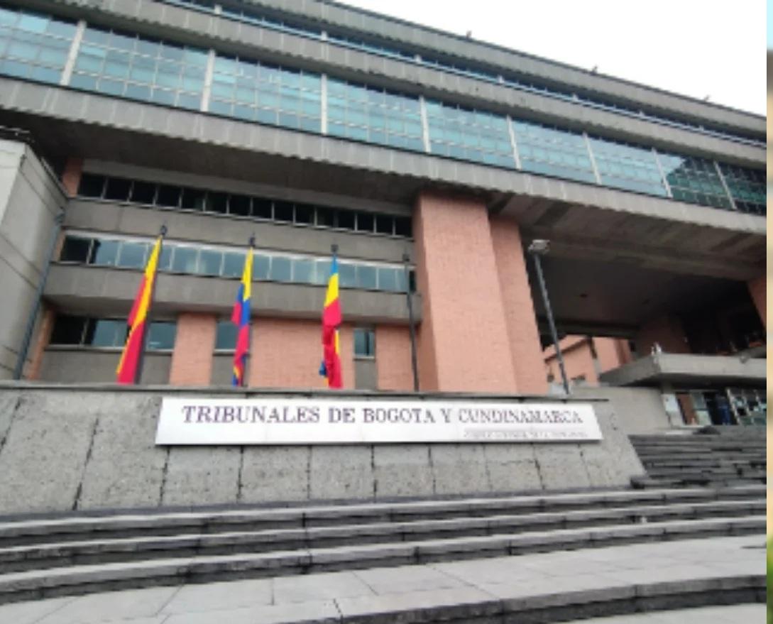 tribunal de cundinamarca