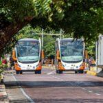 buses de transcaribe