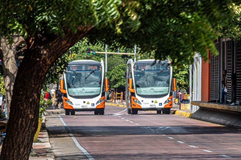 buses de transcaribe