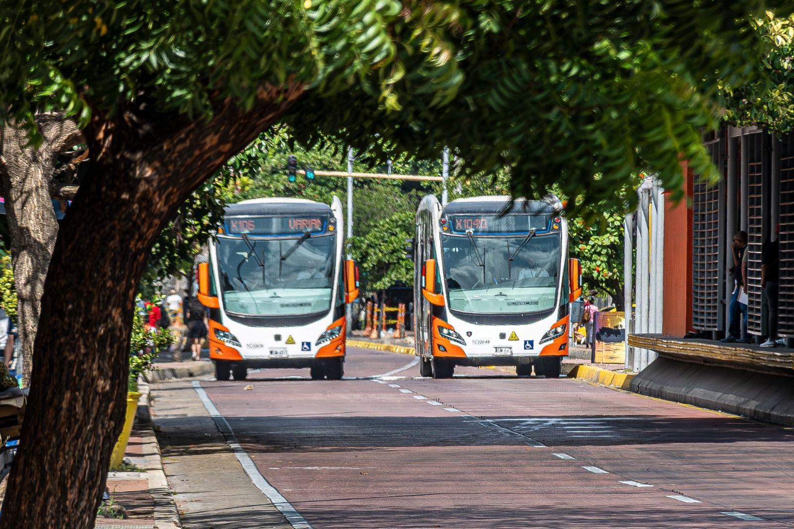 buses de transcaribe