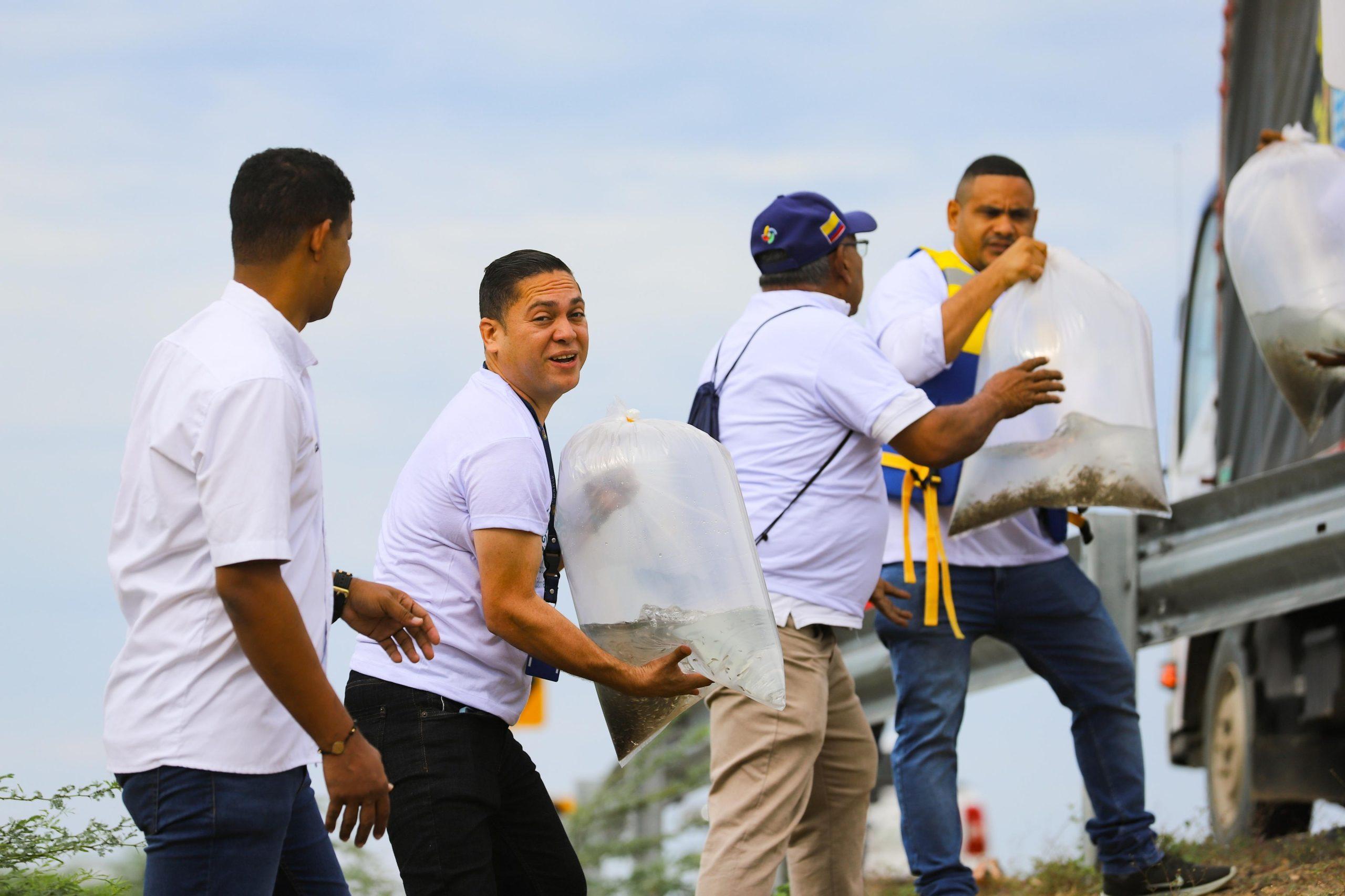 sacando alevinos