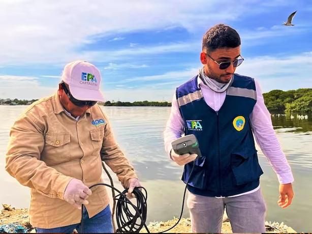 estudio ambiental
