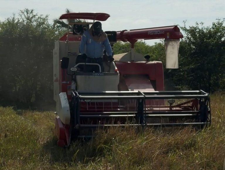 la maquinaria de la umata