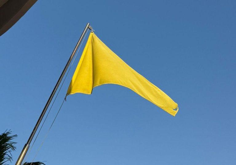 bandera amarilla