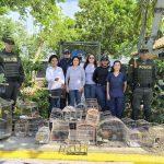 las jaulas en el piso