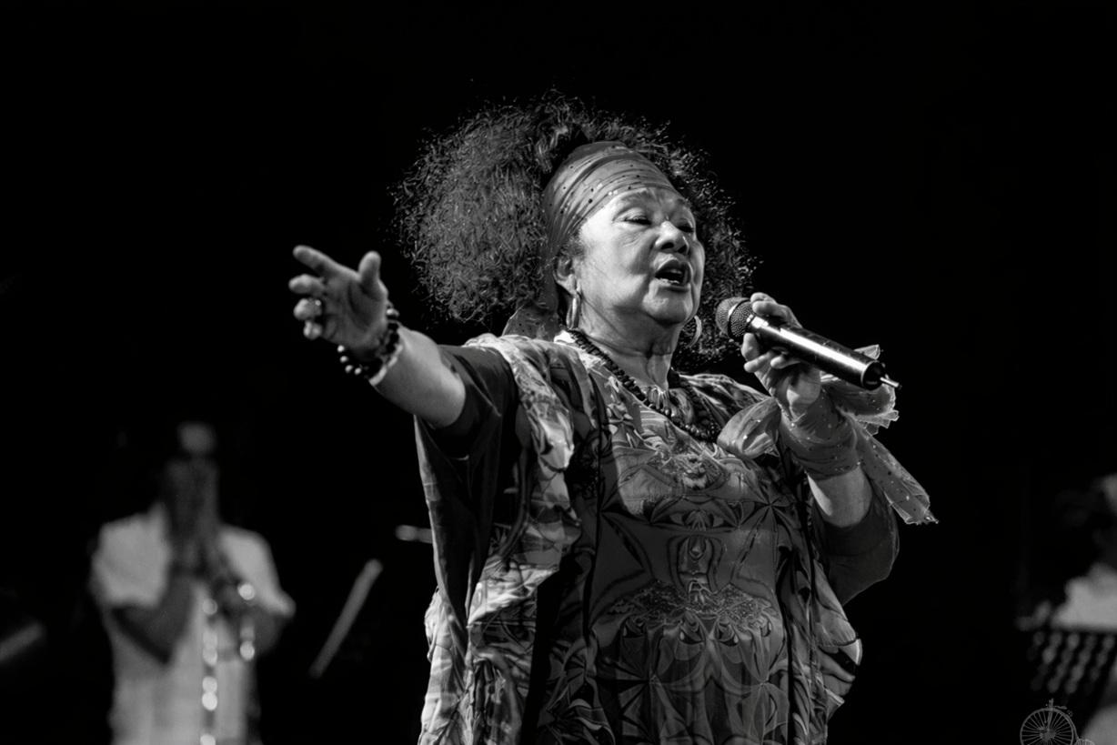 toto en blanco y negro