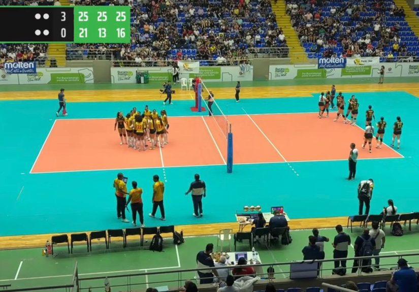 voleibol