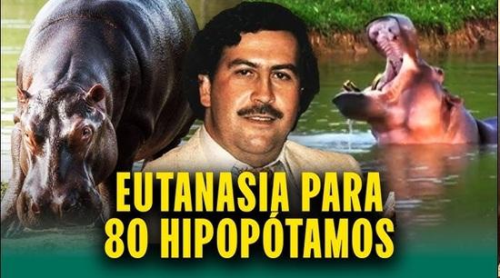 eutanasia