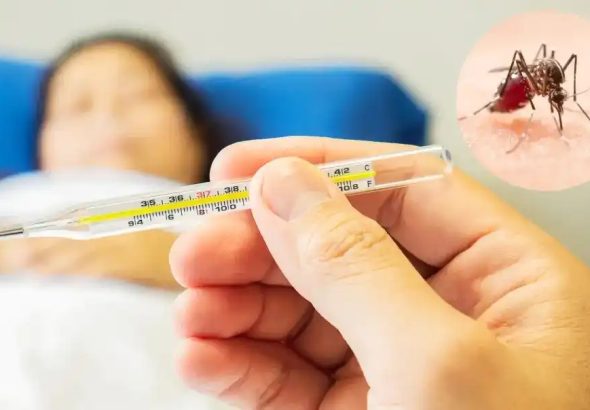 dengue