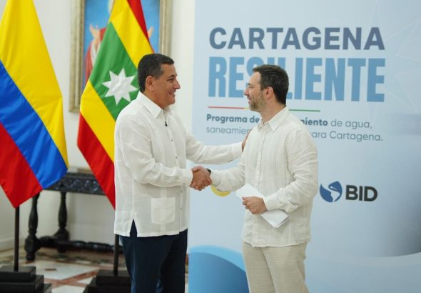 dumek y el man del bid