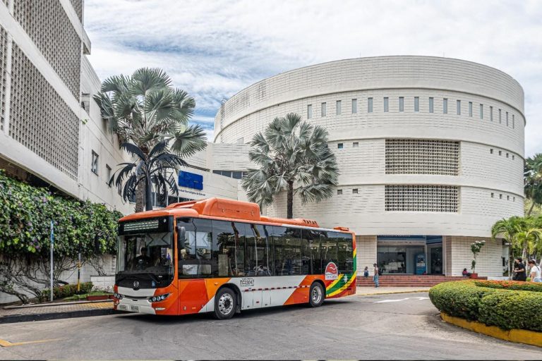 buses nuevos