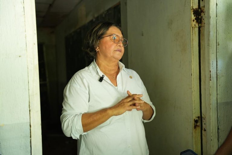 directora del colegio