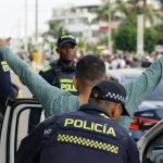 imagen avispa ok