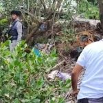 noticia medio ambiente