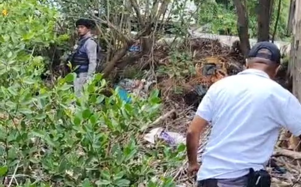 noticia medio ambiente