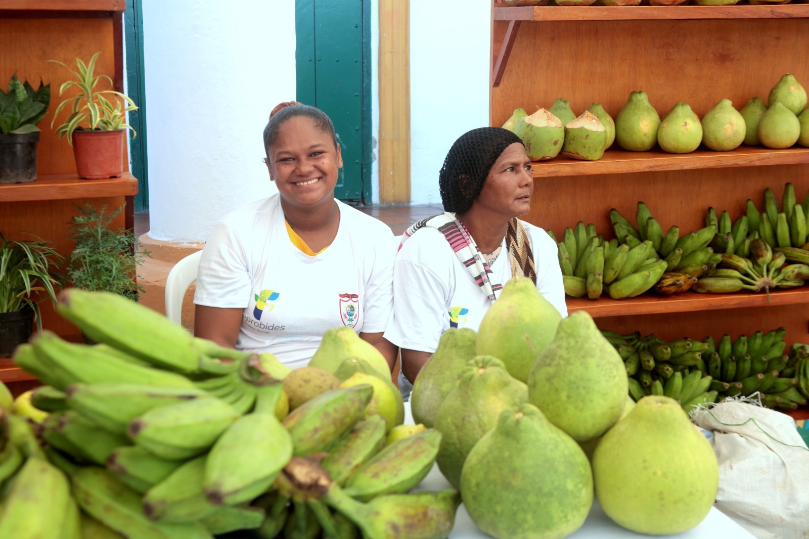 platano