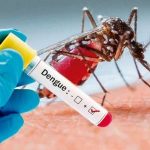 dengue ok
