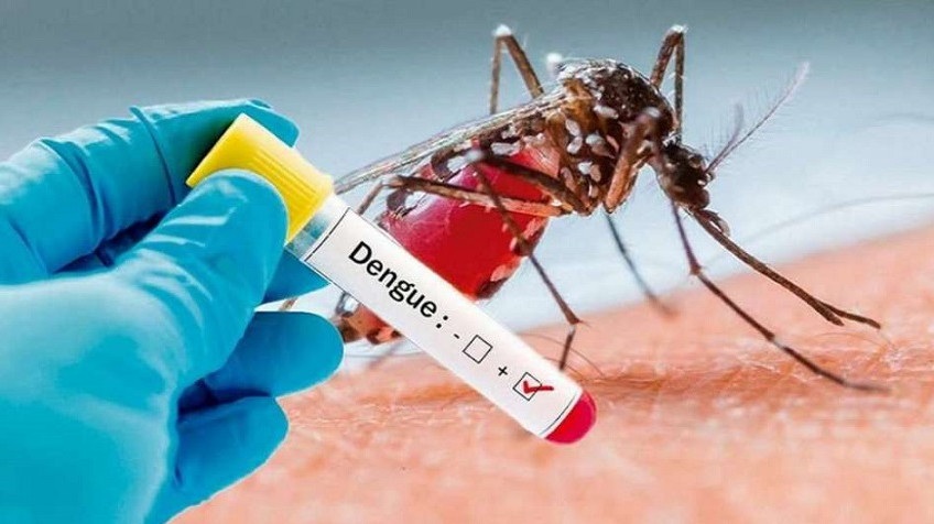 dengue ok